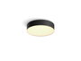 Philips Hue White Ambiance Enrave Lámpara de Techo Inteligente Negro