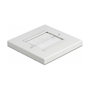 DeLOCK Cubierta para manejo de cables 86 x 86 mm con tiras de cepillo blanco