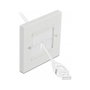 DeLOCK Cubierta para manejo de cables 86 x 86 mm con tiras de cepillo blanco