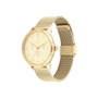 Tommy Hilfiger 1782458 Dorado