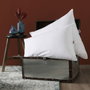 Dodo Almohada de memoria SUPRELLE MEMORY 65x65cm