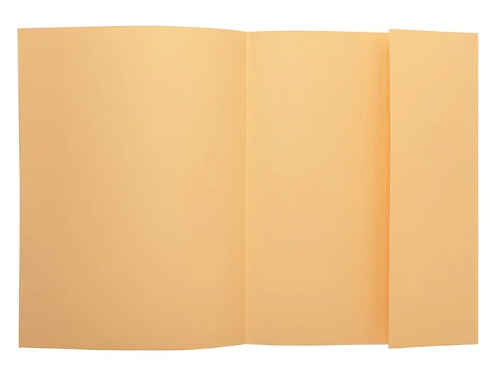 Exacompta Subcarpeta de Cartulina A4 Crema con Solapa Interior - 160 g/m², Modelo Nature Future, Certificado PEFC Exacompta Subcarpeta de Cartulina A4 Crema con Solapa Interior - 160 g/m², Modelo Nature Future, Certificado PEFC