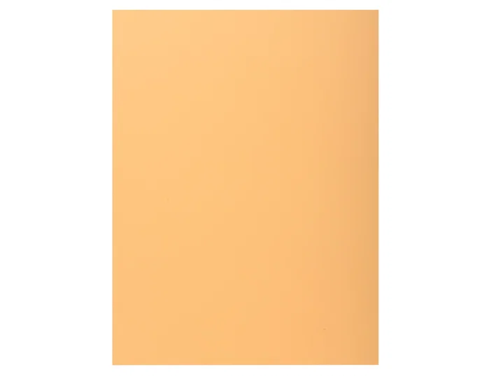 Exacompta Subcarpeta de Cartulina DIN A4 Crema con Solapa Interior