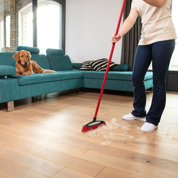 Vileda Always Clean Pet Pro Cepillo escoba