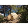Coleman Darwin Summer 3 Plus
