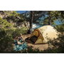 Coleman Darwin Summer 3 Plus