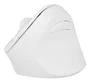 NATEC Crake 2 Ratón Vertical Inalámbrico Blanco