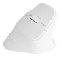 NATEC Crake 2 Ratón Vertical Inalámbrico Blanco