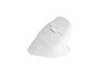 Natec Crake 2 Ratón Inalámbrico Vertical Óptico 2400 DPI 6 Botones Bluetooth 5.2 2.4 GHz Blanco