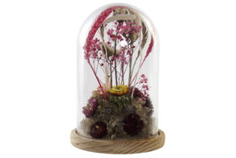 DKD Home Decor Decoración Flor Seca Cristal 17x17x26 Flores