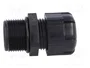 BM GROUP Sello aislante PG13,5 IP68 negro