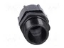 BM GROUP Sello aislante PG13,5 IP68 negro