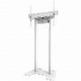 Newstar Neomounts AFP-875WH Placa de suelo Blanca