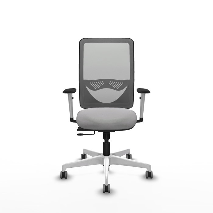 PIQUERAS Y CRESPO Silla de oficina Zulema con mecanismo Sincro/Traslack, Gris claro PIQUERAS Y CRESPO Silla de oficina Zulema con mecanismo Sincro/Traslack, Gris claro