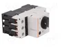 LOVATO ELECTRIC Interruptor motorizado 9÷14A 230÷690VAC