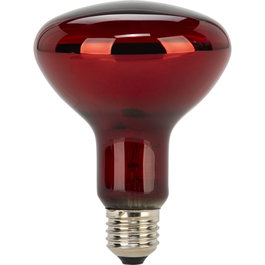 Beurer Lámpara de Repuesto para Lámparas de Luz Roja e Infrarroja