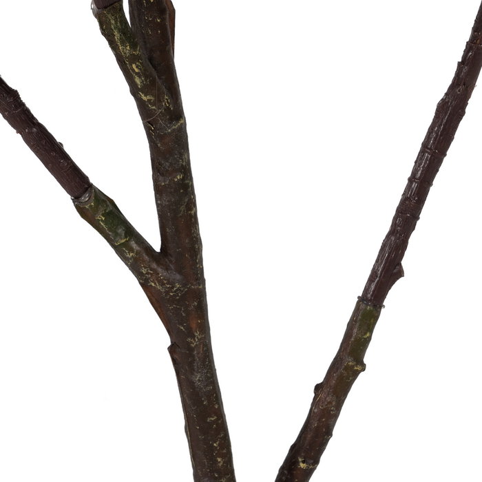 Planta Magnolia Verde-Blanco Goma 120 cm