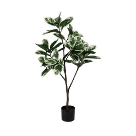 Ixia Planta Magnolia Verde-Blanco 120 cm