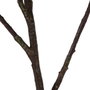 Ixia Planta Magnolia Verde-Blanco 120 cm
