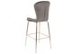 DKD Home Decor Taburete Gris Claro Dorado Metal Terciopelo 53 x 102 x 55 cm (2 Unidades)