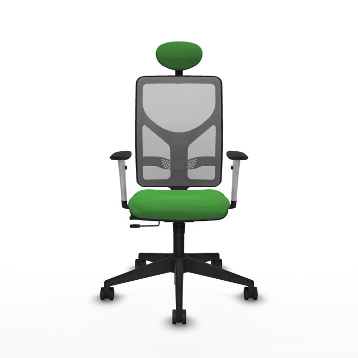 PIQUERAS Y CRESPO Silla de oficina Motilla con mecanismo Sincro/Traslack, Verde y Gris