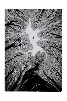Astisendo Grupo Editorial, S.L. TOTEM, Cómic Español de Laura Perez (Reimpresión)大変