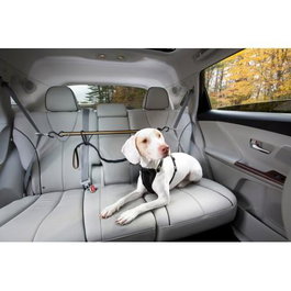 Petsafe KURGO AUTO ZIP LINE con Correa de Amarre - Negro/Naranja
