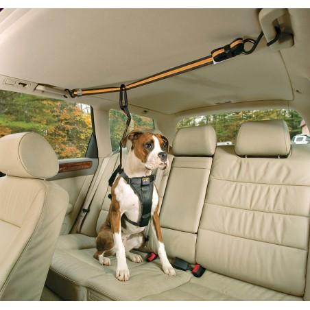 Petsafe KURGO AUTO ZIP LINE con Correa de Amarre - Negro/Naranja