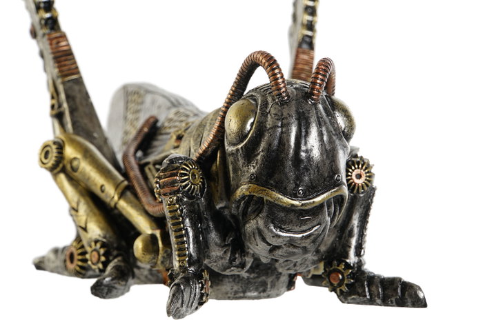 DKD Home Decor Figura de Resina Saltamontes Gris y Multicolor 24x13x13 cm
