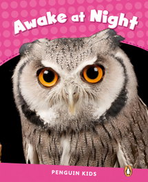 PENGUIN Penguin Kids 2 Awake At Night Reader CLIL