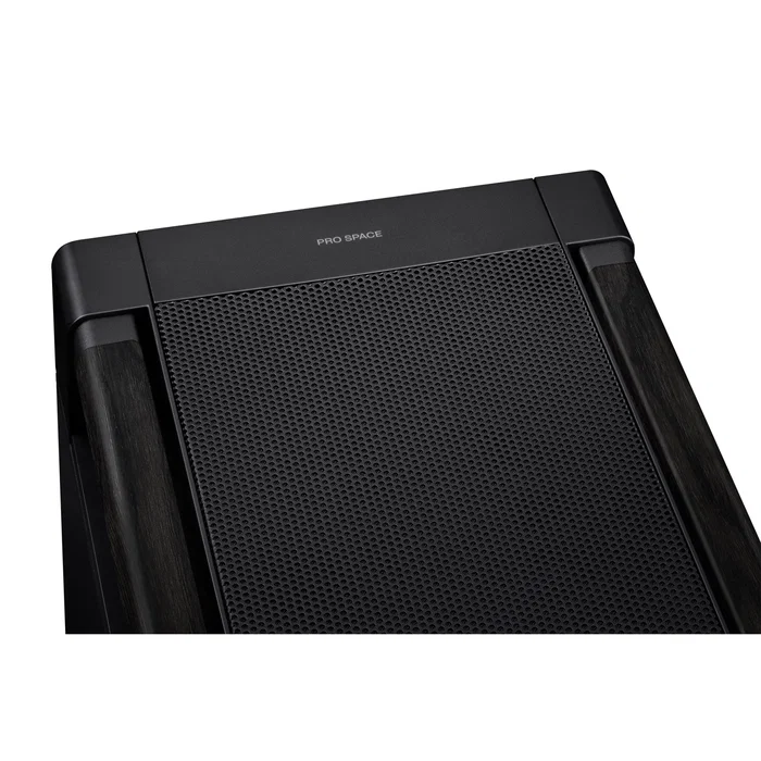 ASUS ProArt PA602 Wood Edition Negro
