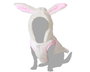 Disfraz para Mascota Conejo Blanco Polyester Talla M