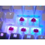 Cherry XTRFY K5V2 COMPACT Teclado mecánico para juegos 65% RGB Negro