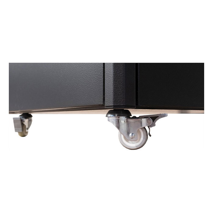 ROLINE 26.21.0023 Ruedas Giratorias para Muebles de Pared, Acero, Capacidad 250 kg, Paquete de 4 Unidades