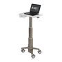 Ergotron C50-1100-0 CareFit Slim Medical Laptop Cart Soporte Carro para Portátil no Powered Altura Ajustable 614-1247 mm Gris
