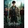Ravensburger Puzzle 300 piezas XXL Harry Potter y las Reliquias de la Muerte II