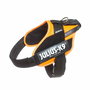 Arnés para Perro Julius K9 IDC Naranja L/XL 2 71-96 cm