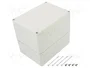 FIBOX EURONORD Carcasa Universal Gris