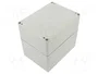 FIBOX EURONORD Carcasa Universal Gris