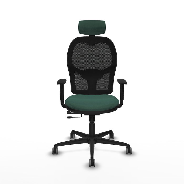 PIQUERAS Y CRESPO Silla de oficina Jorquera con Mecanismo Sincro/Traslack, Verde botella y Negro PIQUERAS Y CRESPO Silla de oficina Jorquera con Mecanismo Sincro/Traslack, Verde botella y Negro