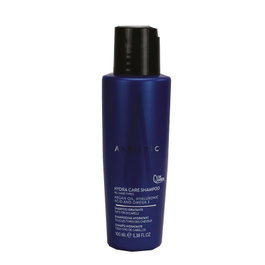 Artistic Hair Hydra Care Shampoo 100ml