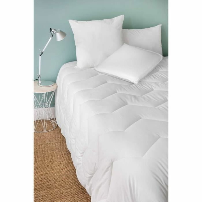 Toison D'Or Almohada Paresse Soft con memoria de forma, 60x60cm, Blanco Toison D'Or Almohada Paresse Soft con memoria de forma, 60x60cm, Blanco