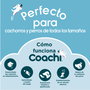 Coachi Pro Train & Treat Bag Azul Oscuro-Azul Claro