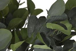 DKD Home Decor Árbol Verde 80 x 150 x 80 cm Poliester Madera Cemento Eucalipto Colección