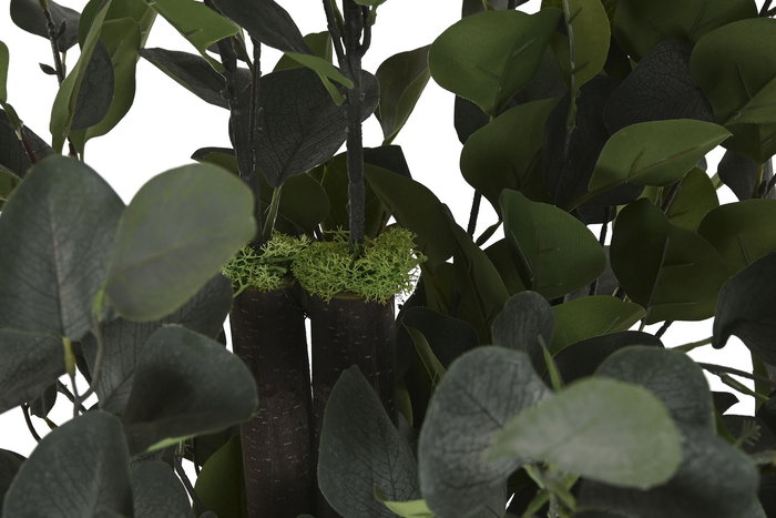 DKD Home Decor Árbol Verde 80 x 150 x 80 cm Poliester Madera Cemento Eucalipto Colección