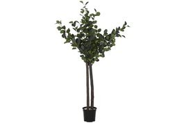 DKD Home Decor Árbol de Eucalipto Verde en Poliéster y Madera