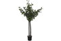 DKD Home Decor Árbol de Eucalipto Verde en Poliéster y Madera
