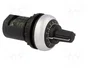 EATON ELECTRIC RMQ-Titan Potenciómetro 47kΩ 22mm