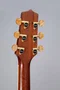 Takamine P4DC Guitarra electroacústica Dreadnought con cutaway