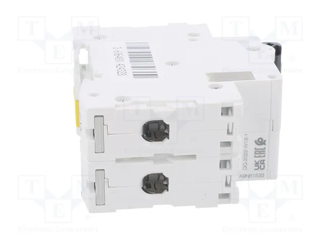 SCHNEIDER ELECTRIC Interruptor magnetotérmico ACTI9 C60H-DC 25A 2 polos